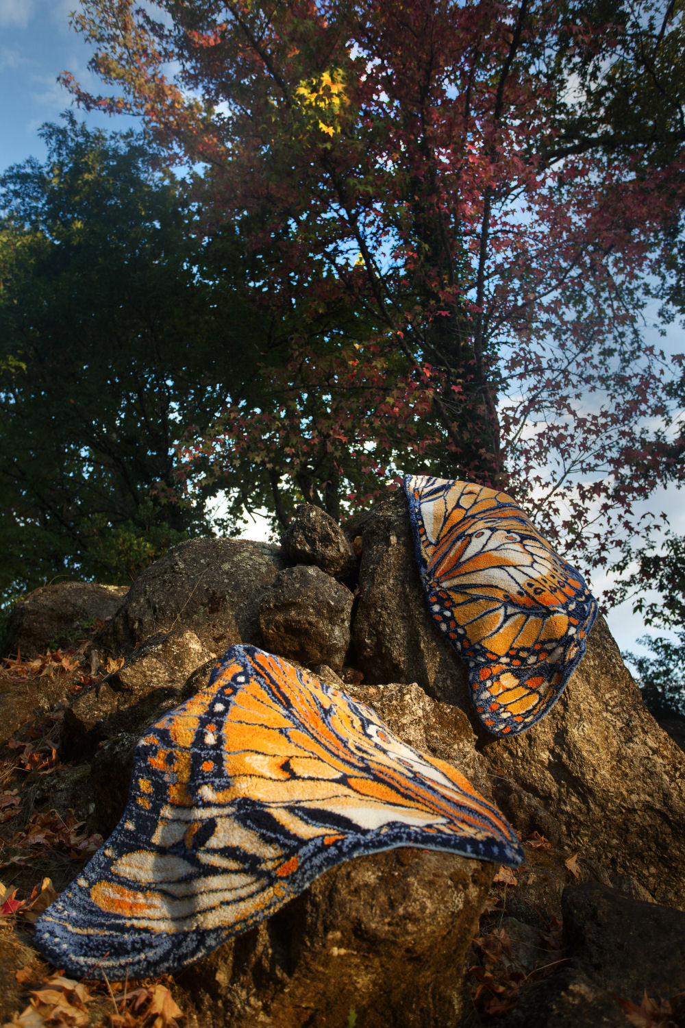 Luxury Egyptian Cotton Bathroom Rug Mariposa by Abyss & Habidecor