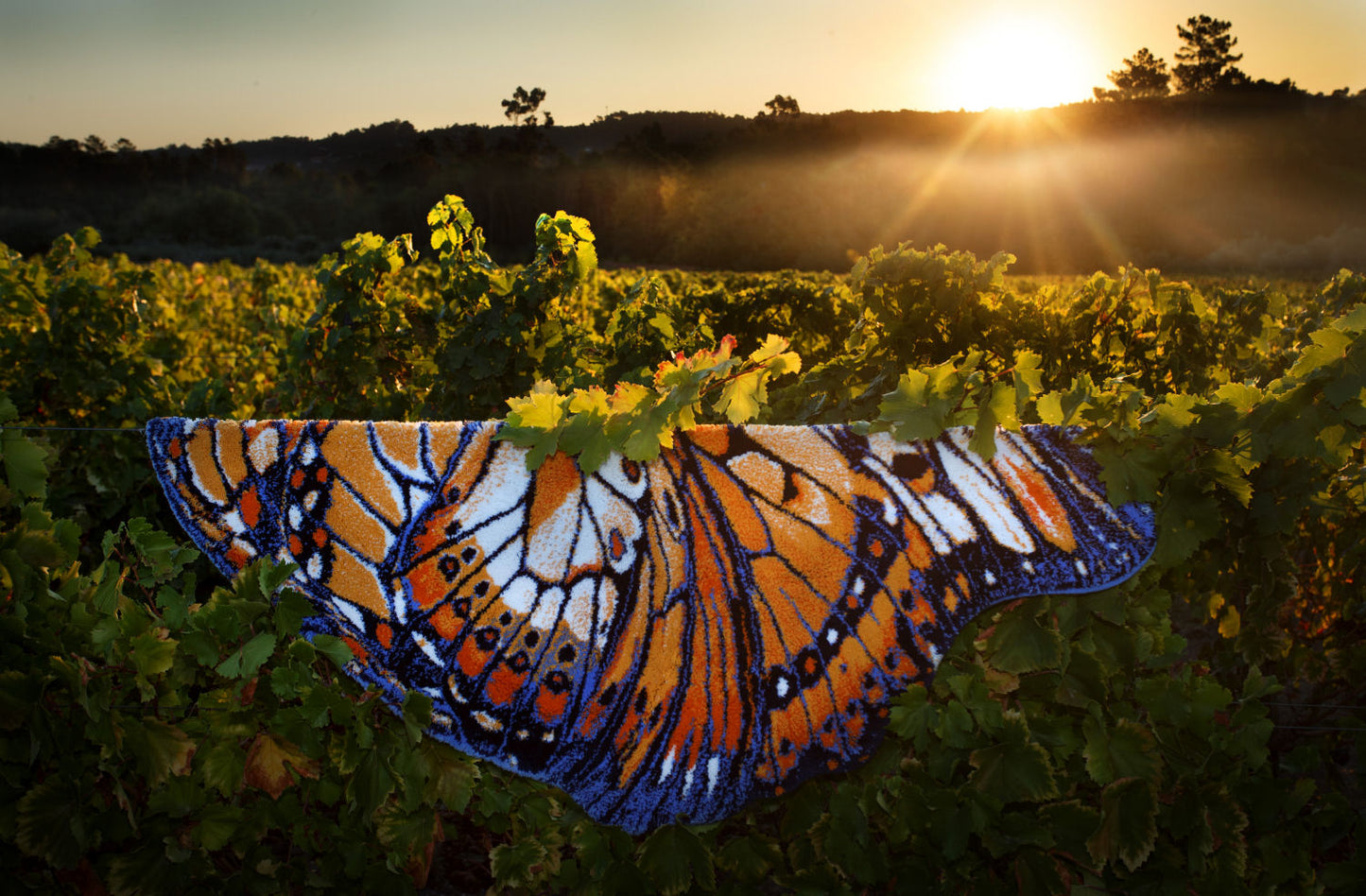 Luxury Egyptian Cotton Bathroom Rug Mariposa by Abyss & Habidecor