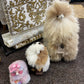 LOVE Box of Fluff - Accessory Sets for Alpacas