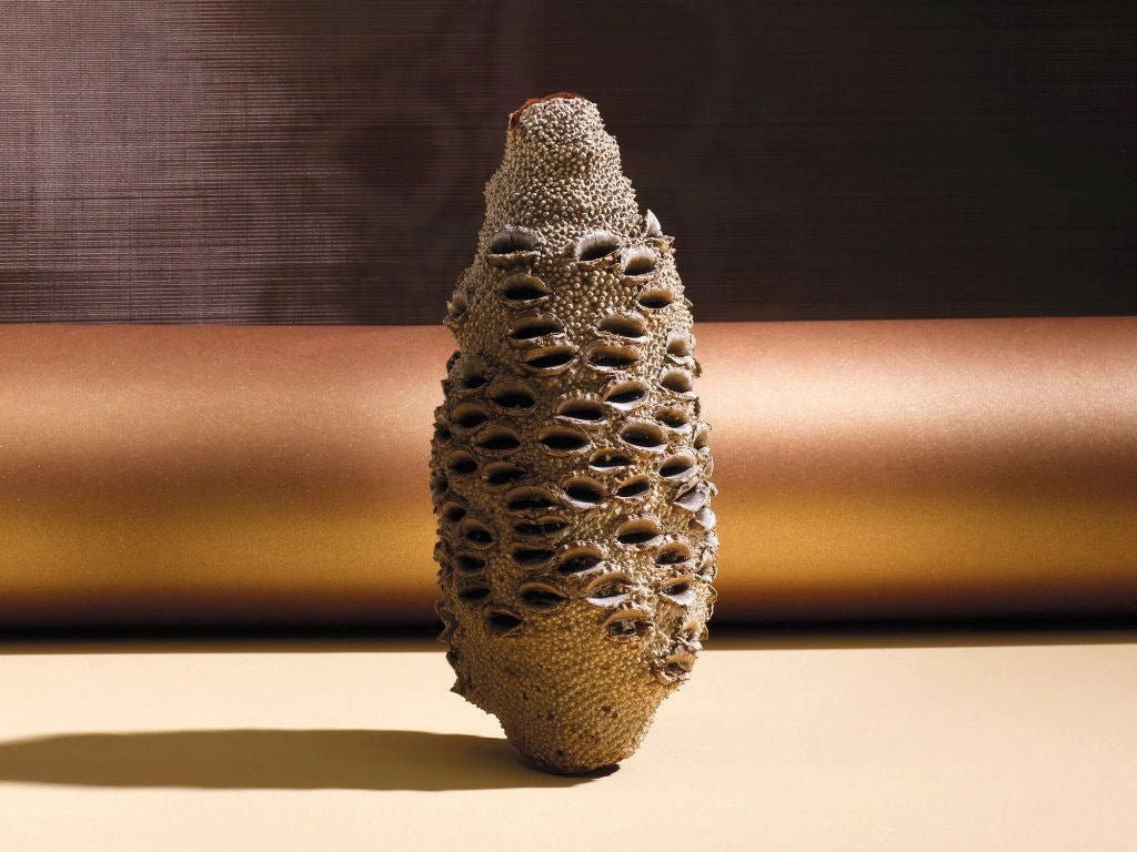 Banksia Luxury Perfume by Locherber Milano / Eau De Parfum - |VESIMI Design| Luxury Bathrooms and Home Decor
