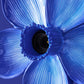 Blauwe Bloesem Bloemen Wandlamp door Werns