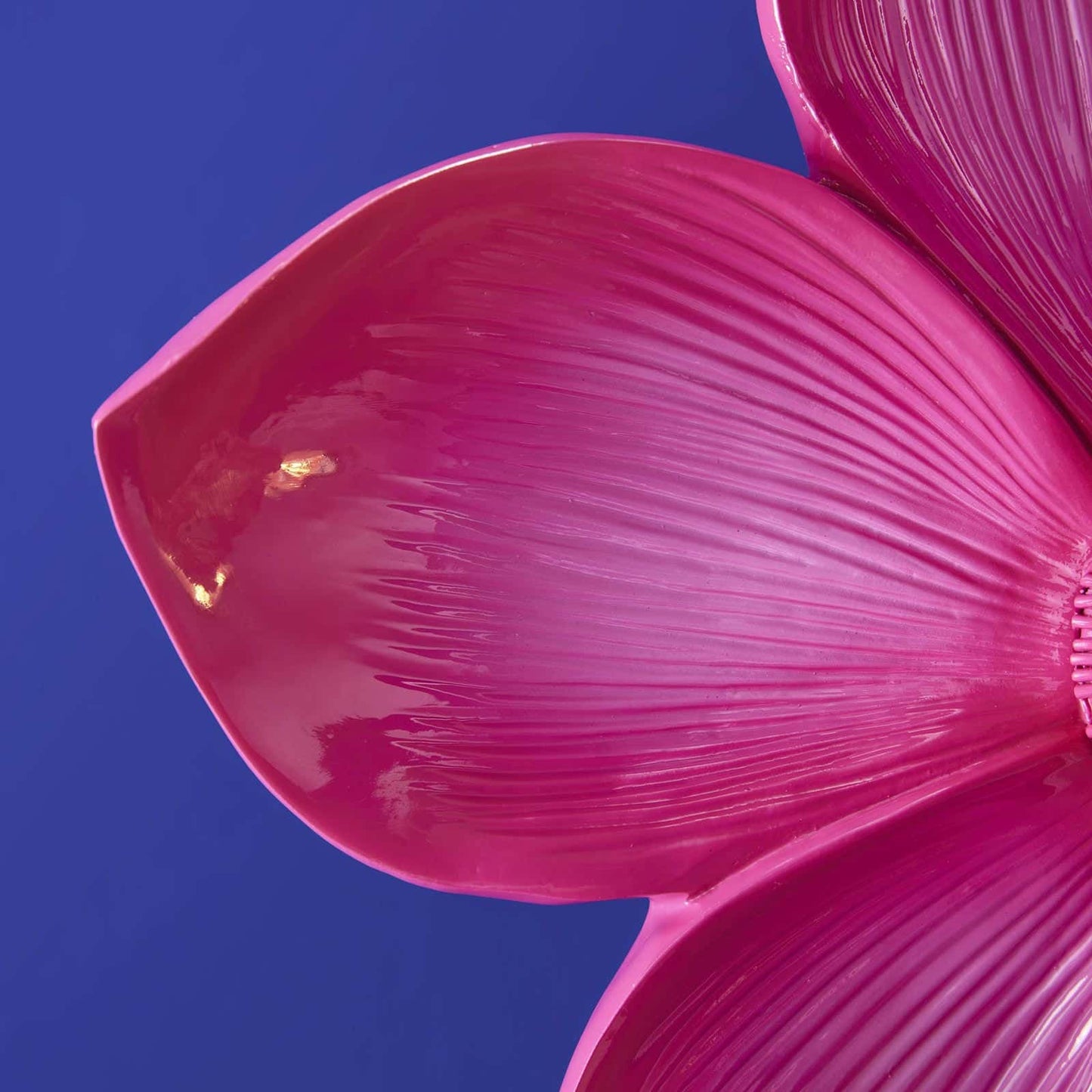 Magenta Bloom Flower Wall Light by Werns