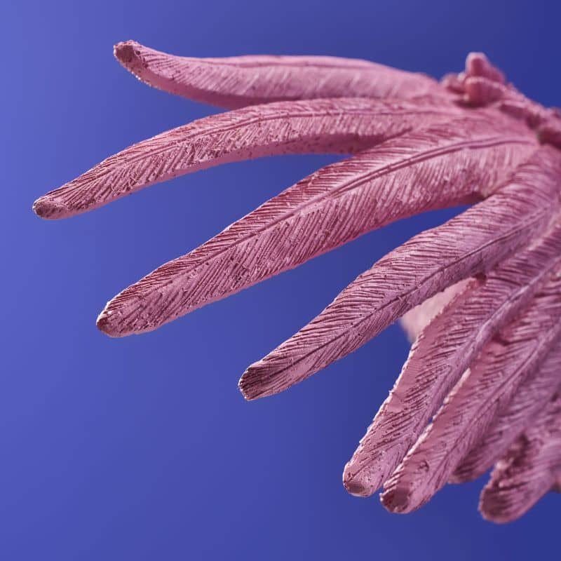 Ceiling lamp Parrot Percy, pink