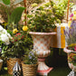Rosy geruite sokkelurn / speciale bestelling