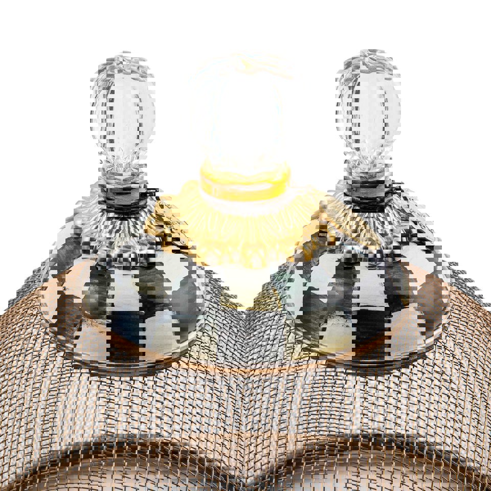 Courtly Check Mesh Dome - Small by Mackenzie Childs