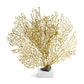 Limited Edition Fan Coral Gold by Michael Aram - |VESIMI Design| Luxury Bathrooms and Home Decor