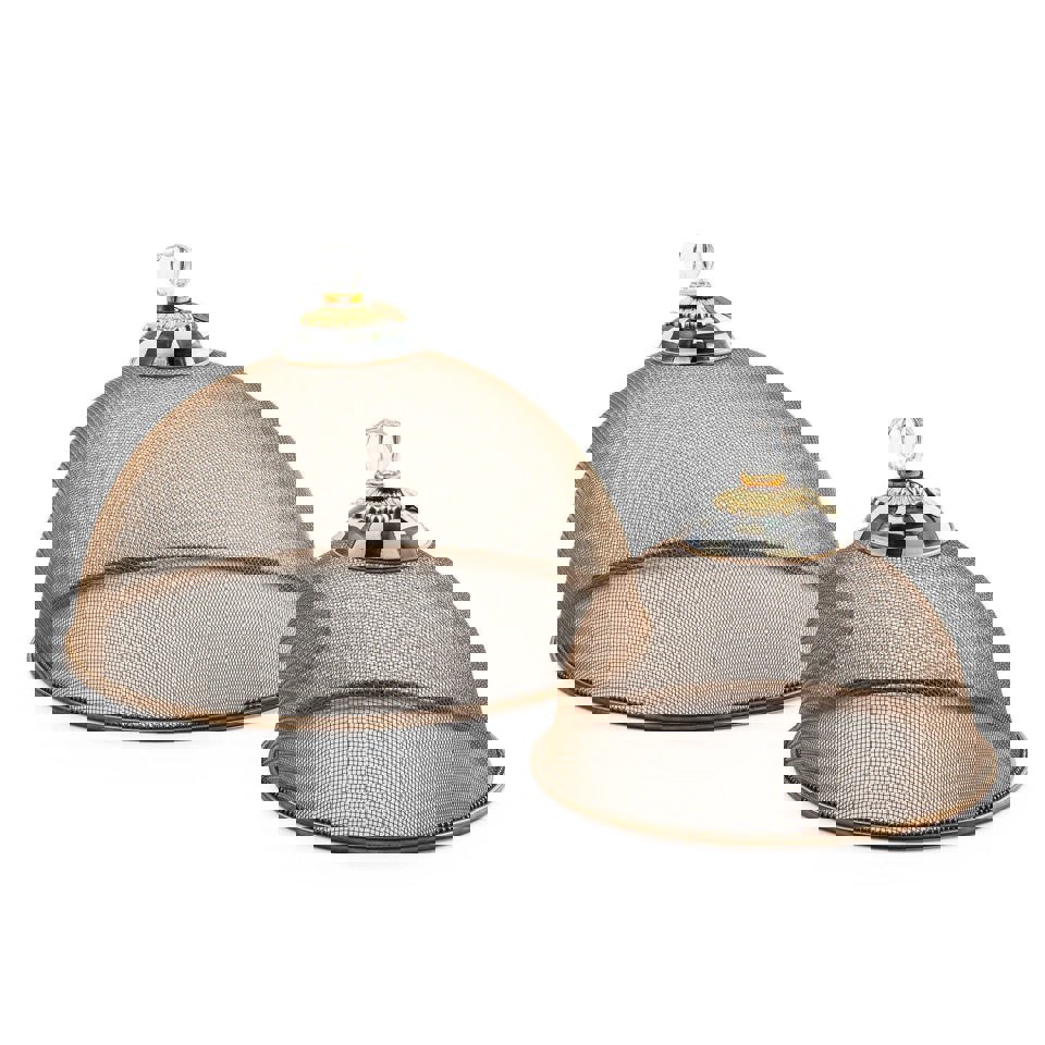 Courtly Check Mesh Dome - Small by Mackenzie Childs