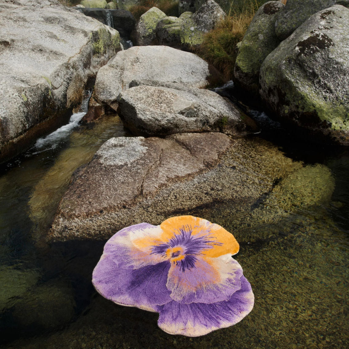 Stunning Purple Egyptian Cotton Bath Mat PANSY by Abyss & Habidecor