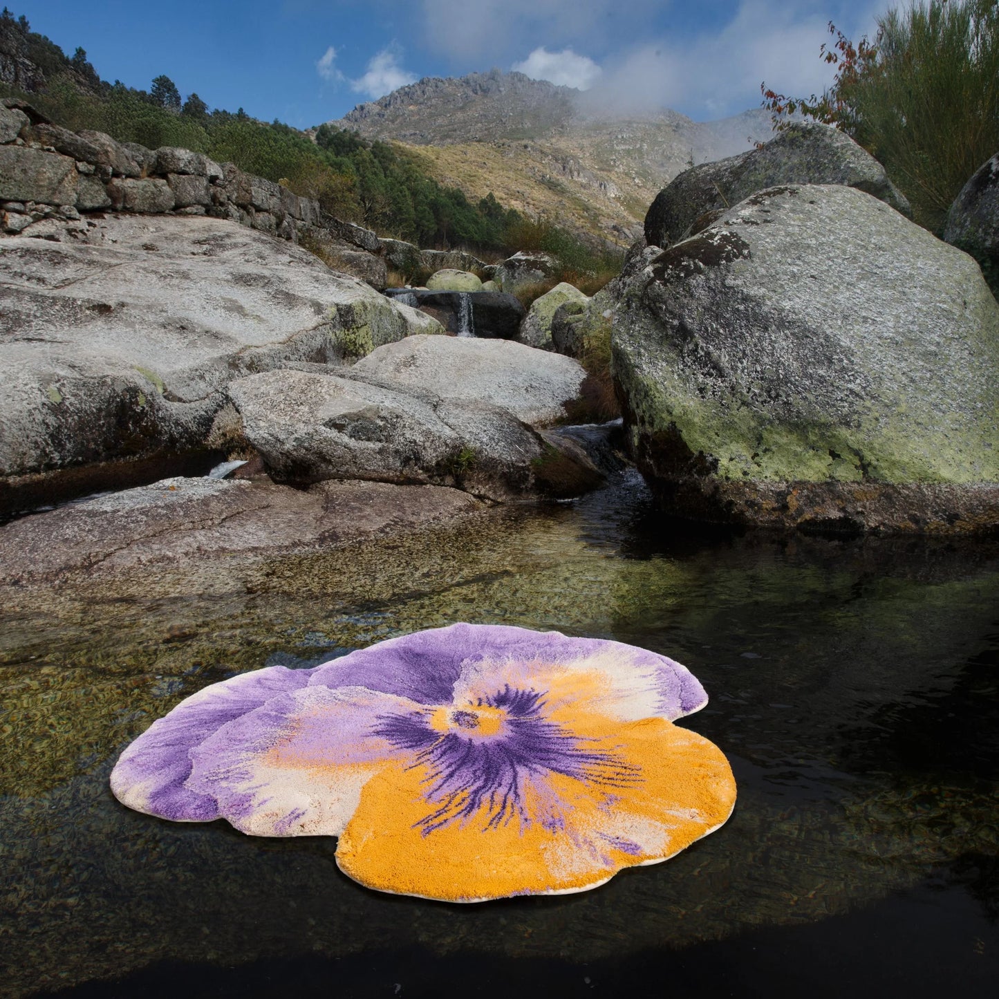 Stunning Purple Egyptian Cotton Bath Mat PANSY by Abyss & Habidecor