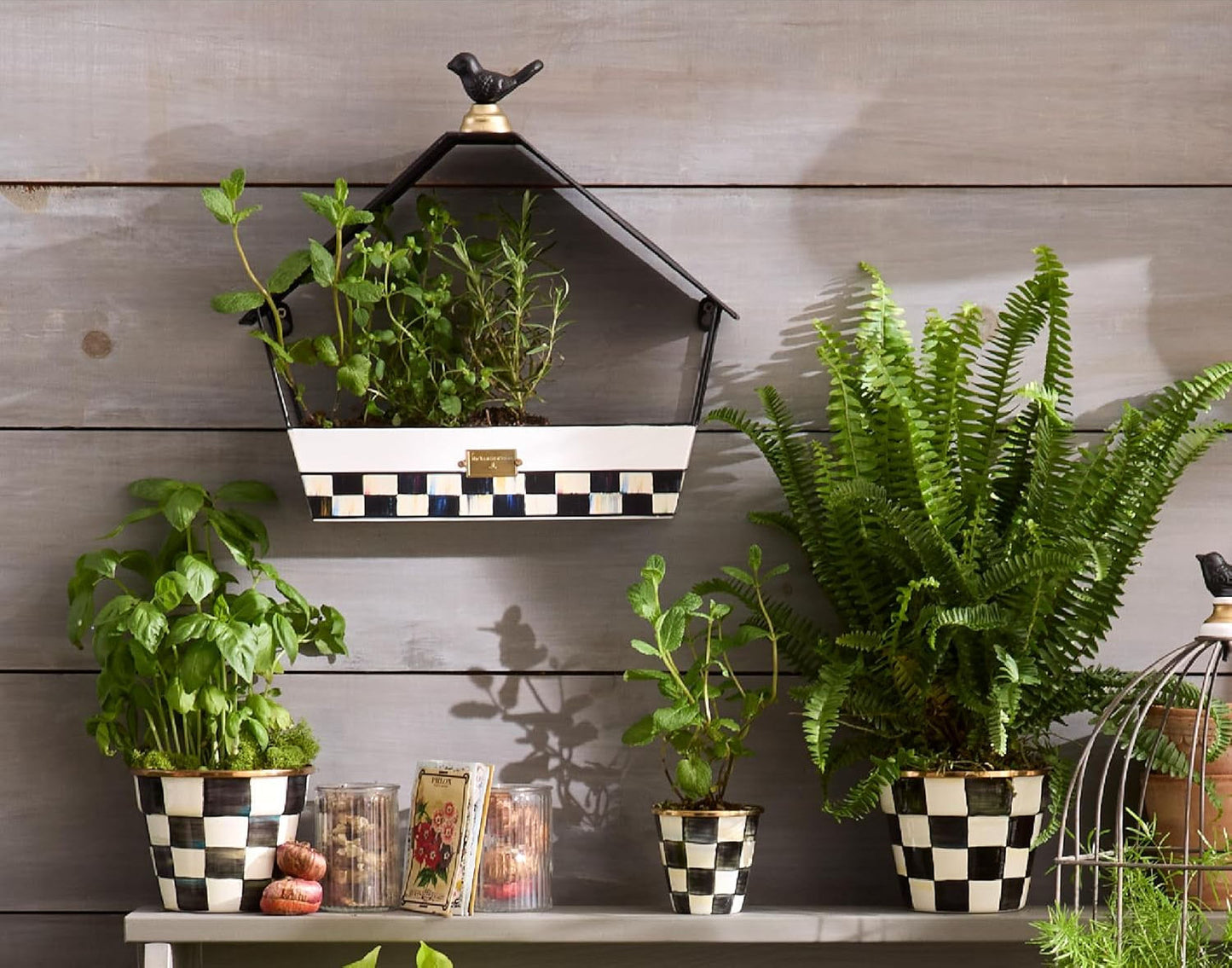 Spectator Wall Bird Feeder by MacKenzie-Childs