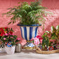 Royal Stripe Urn by MacKenzie-Childs / Special Order