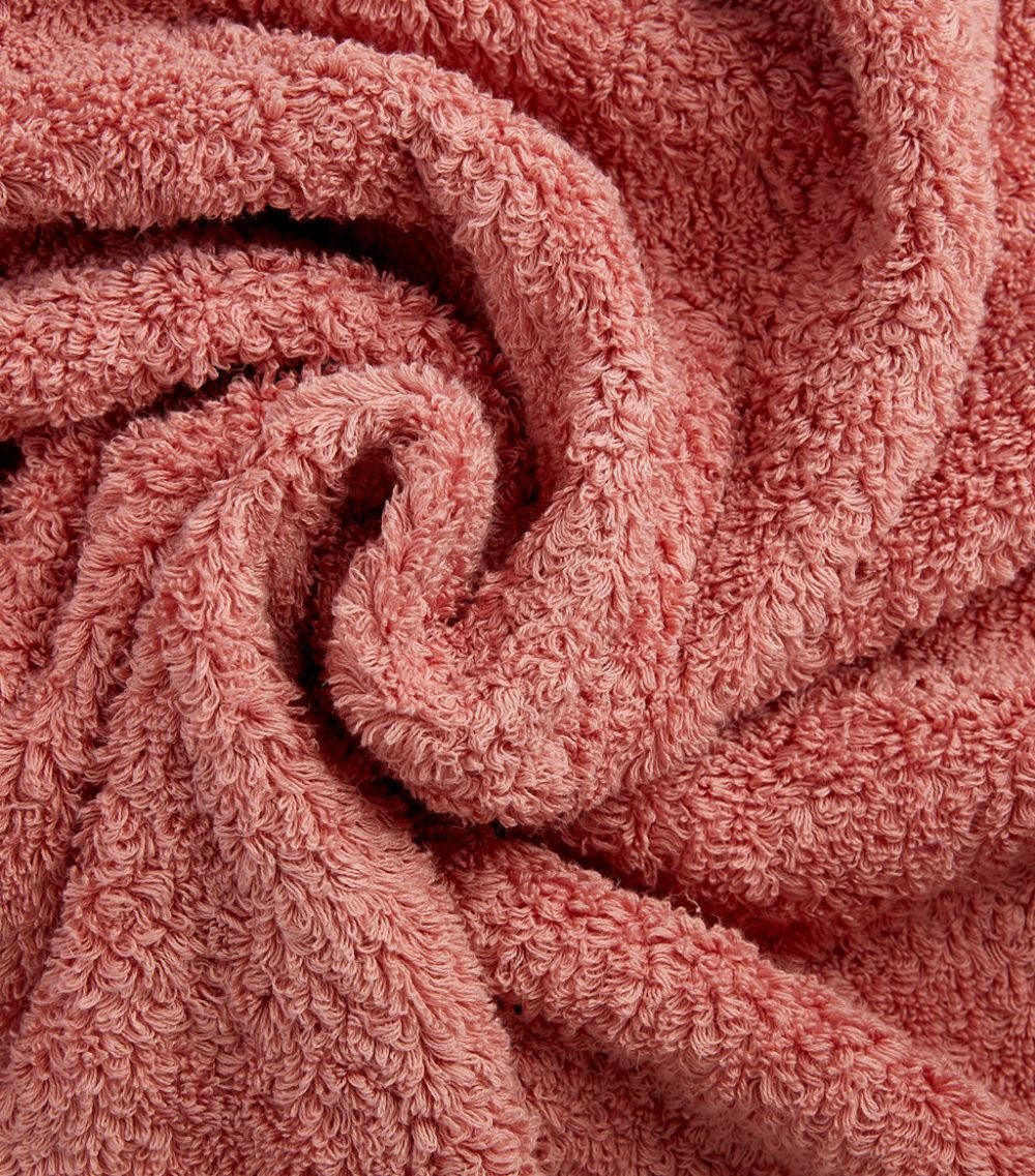 https://vesimidesign.com/cdn/shop/products/super-pile-luxury-bath-towels-by-abyss-habidecor-515-rosette-461290.jpg?v=1686864926