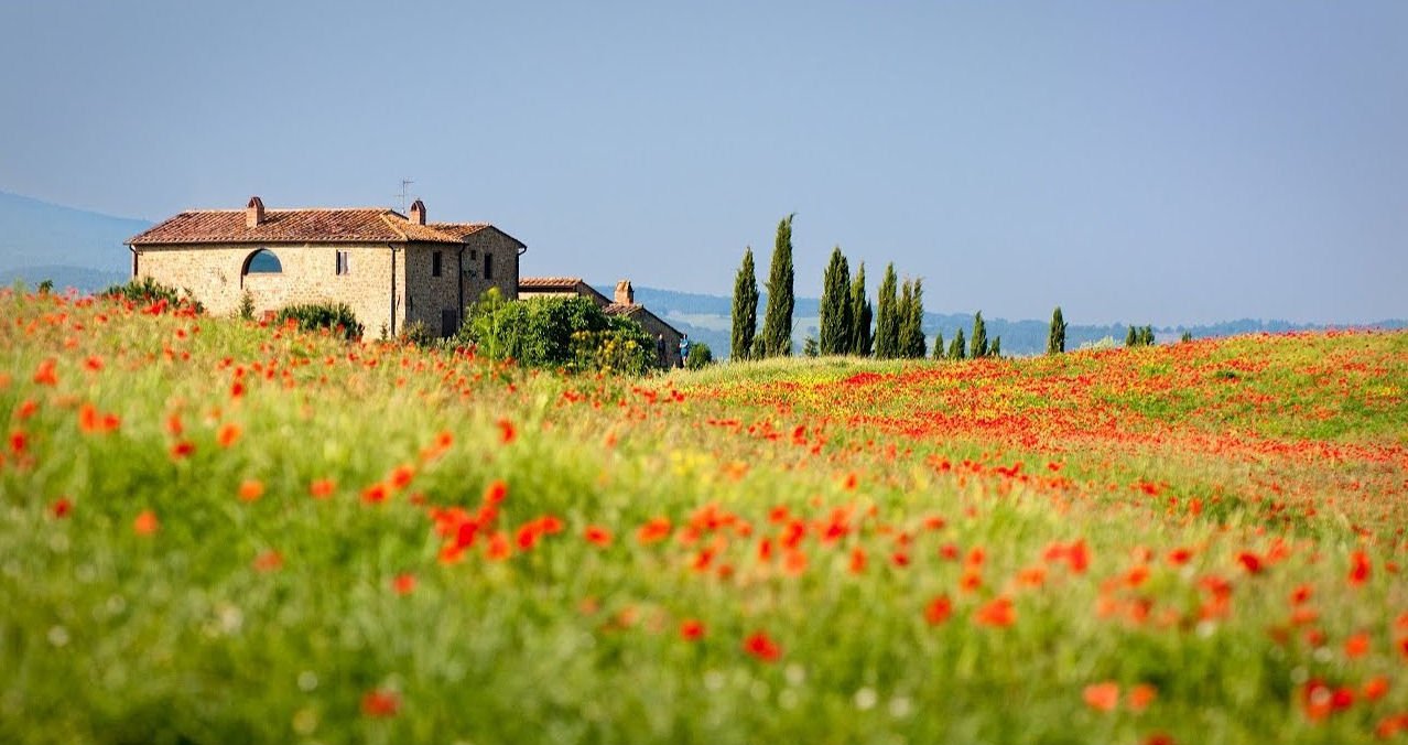 Tuscan Feeling Candle by Locherber Milano 500g - |VESIMI Design| Luxury and Rustic bathrooms online